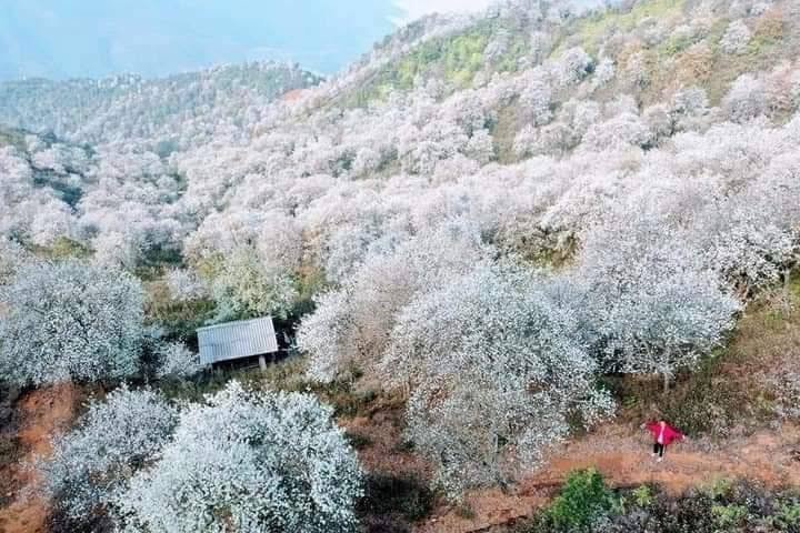 4-Day Cycling Tour: Hanoi to Ngoc Chien & Nam Nghiep